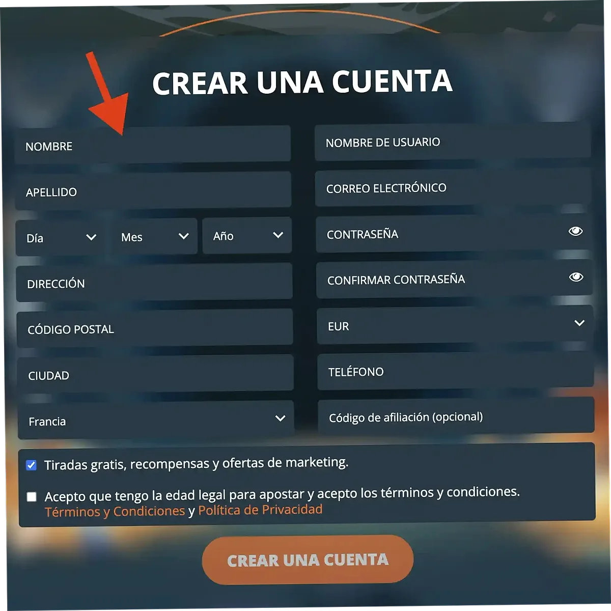 Paso 2 – Completar formulario