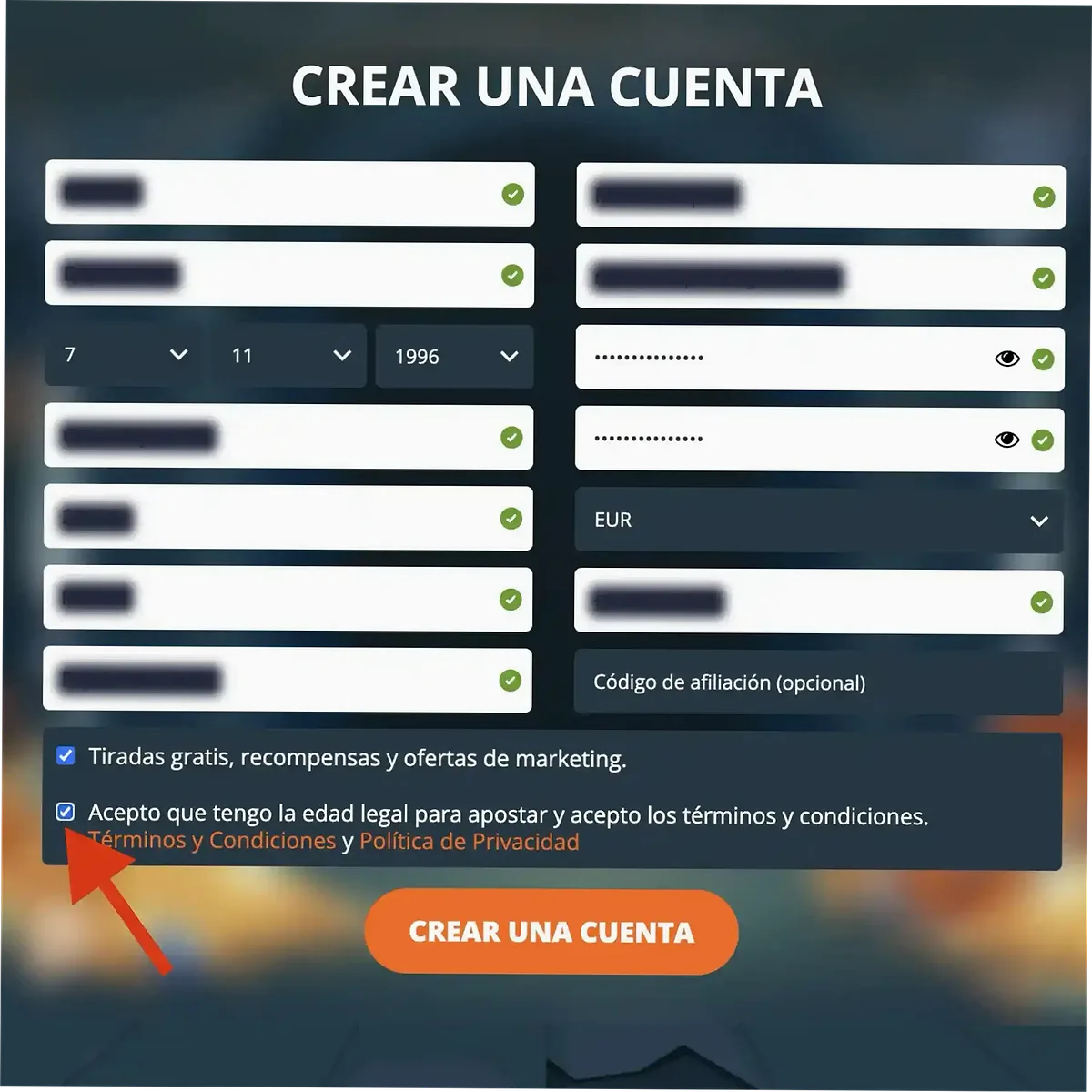 Paso 4 – Aceptar términos